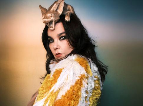 Björk új, nagyléptékű kiállítása nyílt Reykjavíkban