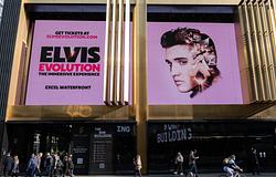 Hologram helyett kartonfigura: hatalmas csalódás lett az Elvis Evolution show