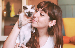 A macskák titkos nyelve: a lassú pislogás ereje