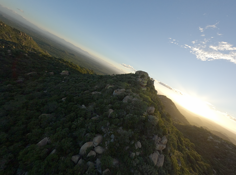 Nora en Pure a vadon szívében ünnepelte a Purified Radio 500. epizódját