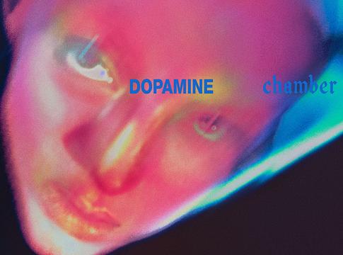 Fontaines D.C.: bejelentették a Dopamine Chambert, itt a nagyívű Marianne