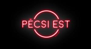 Rendőrségi razzia a Pécsi Estben: mindent átvizsgáltak, jogsértést nem találtak