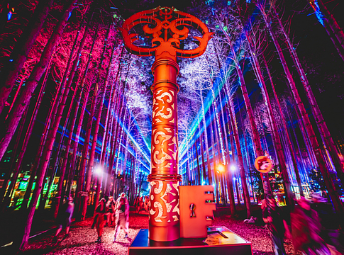 Újszülöttet találtak holtan egy mobilvécében az Electric Forest fesztivál utolsó napján.