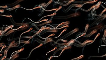 Utahi biotech cég szerint laborban növesztett emberi spermát – de működik-e?