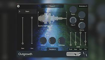 Outgrowth: mintamanipuláció új dimenzióban Aqeel Aadam műhelyéből
