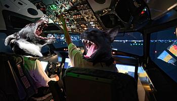 Vizsgálat indult: a pilóták macskahangokkal és ugatással szórakoztak a rádión