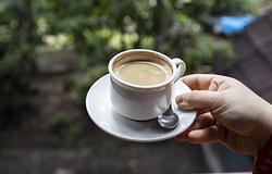 Kopi Luwak: tudósok megfejtették a világ legdrágább kávéjának titkát