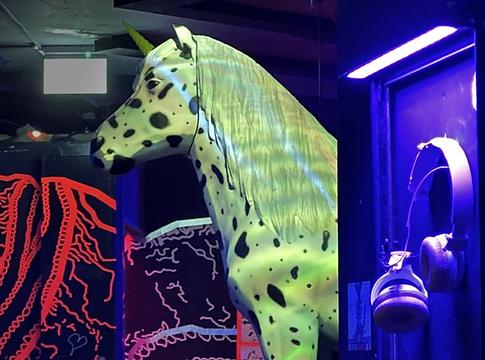Ideiglenesen bezár a bécsi Ponyhof klub – búcsú egy szeretett közösségi tértől