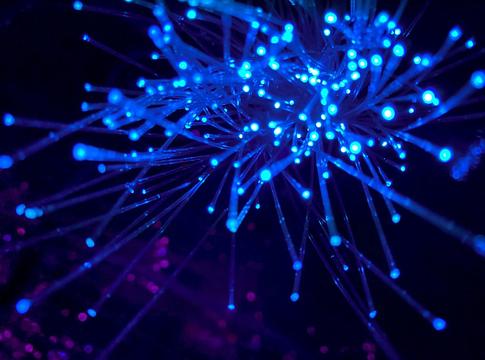 Miért vált az open-source a digitális szuverenitás kulcsává Európában?