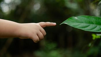 A természetes szelekció ma is formálja az embert – így látszik a DNS-ünkön