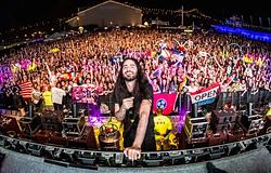 Bassnectar 47%-os növekedést ért el az üzleti átalakítás után