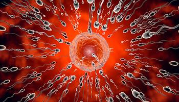 128 Men Are Competing: 100K jár a leggyorsabb „úszónak” a Sperm Racing World Cupon