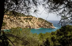 Rövid tengerparti séta Cala Llongától Sol d’en Serráig