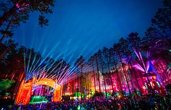 Electric Forest 2026: száz fellépővel tér vissza a legendás erdei fesztivál
