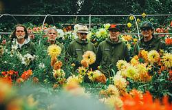 A Super Furry Animals 2026-ban visszatér a színpadra
