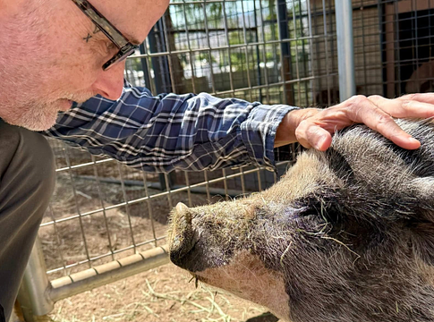 Moby üzent a vegánoknak: „Ha egymás ellen harcolunk, ők nyernek”