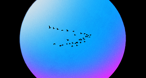 Koven drum & bassre hangolta az Above & Beyond Carry Me Home-ját