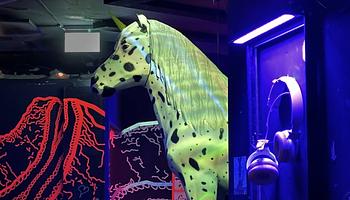 Ideiglenesen bezár a bécsi Ponyhof klub – búcsú egy szeretett közösségi tértől