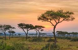 Kelet-Afrika gyorsabban szakad szét, mint hittük – de van benne jó hír is