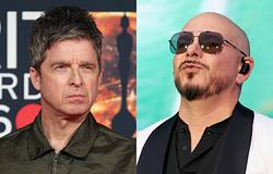 Pitbull Guinness-rekordot döntött a Hyde Parkban