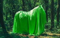 Kilencedik alkalommal érkezik a Dias de Campo fesztivál Montanejosba