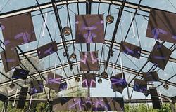 Megérkezett a Docklands Festival 2026 teljes menetrendje