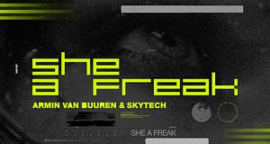 Armin van Buuren és Skytech új közös száma: She A Freak