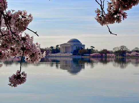 Washington D.C. 9,9 millió dollár visszafizetésére kötelezte a Live Nation/Ticketmastert a félrevezető díjak miatt