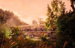 A Dekmantel 2026 új szintre emeli a fesztiválélményt: érkezik a ‘Dekmantel at Dawn’