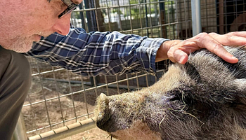 Moby üzent a vegánoknak: „Ha egymás ellen harcolunk, ők nyernek”