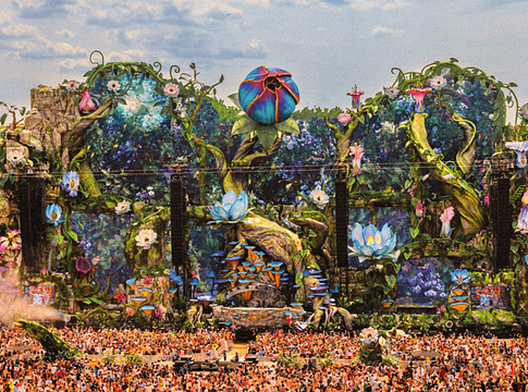 Vita övezi a Tomorrowland Thailand első lineupját: sokak szerint túl drága a felhozatalhoz képest