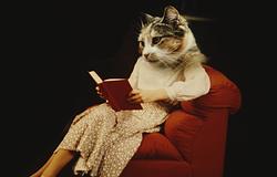 Négy könyv, amely segít kedvesebbnek lenni önmagaddal