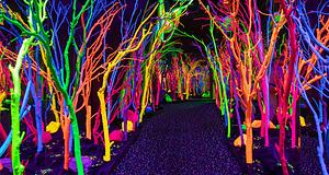 Meow Wolf Grapevine első DJ-fesztje a The Real Unrealben május 22-én