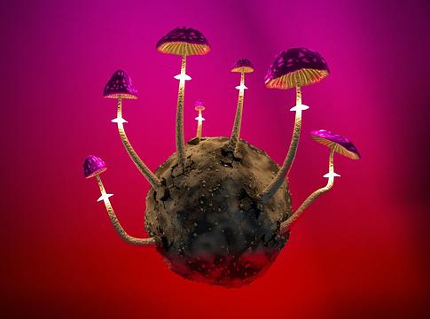 LSD-kezelés áttörést hozhat a szorongás kezelésében