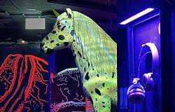 Ideiglenesen bezár a bécsi Ponyhof klub – búcsú egy szeretett közösségi tértől