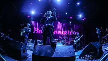 A Babyshambles koncertlemezzel örökíti meg visszatérését