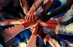 Szinkronba kerül az agyunk közös munka közben