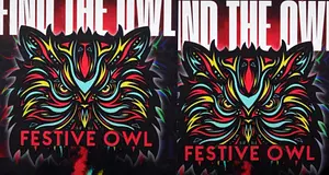 Ritka interjú: a The Festive Owl a Billboardnak vallott