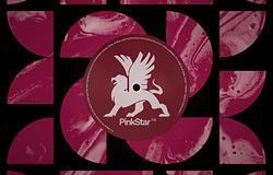 EDX kiadta az Equinoxot a Pinkstar Recordsnál