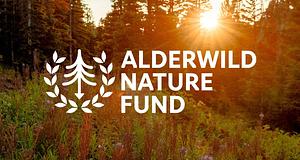 Camp Alderwild Alderwild Nature Funddal áll a coloradói tűzvész-segély mellé