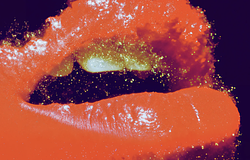 Alphadog: meleg hangulatok és egységüzenet a More Love EP-n