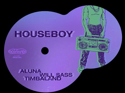 Will Sass, Aluna és Timbaland közös dala új színt hoz a house-ba