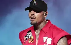 Chris Brownt 14 millió dolláros kártérítésre kötelezték kutyatámadás miatt