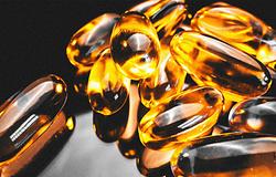 omega-3 és fejsérülés: nem mindegy, mi van a halolajban