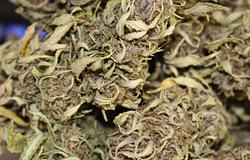 Kannabiszszag buktatta le a fiatal dílert Németországban