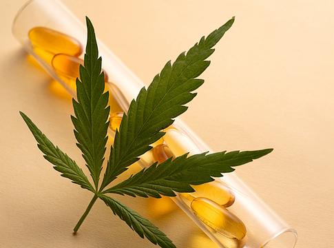 Új kannabisz alapú gyógyszer hozhat áttörést a krónikus hátfájás kezelésében