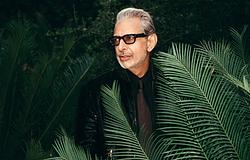 Jeff Goldblum: „Lebegtem, amikor Ariana Grande és Cynthia Erivo mellett énekelhettem”