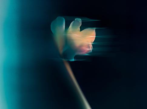 Joshwa új kislemeze, a „Wildflower” megérkezett az Insomniac Recordsnál