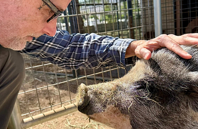Moby üzent a vegánoknak: „Ha egymás ellen harcolunk, ők nyernek”
