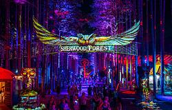 Folytatódik a nyomozás az Electric Forest fesztiválon talált újszülött ügyében